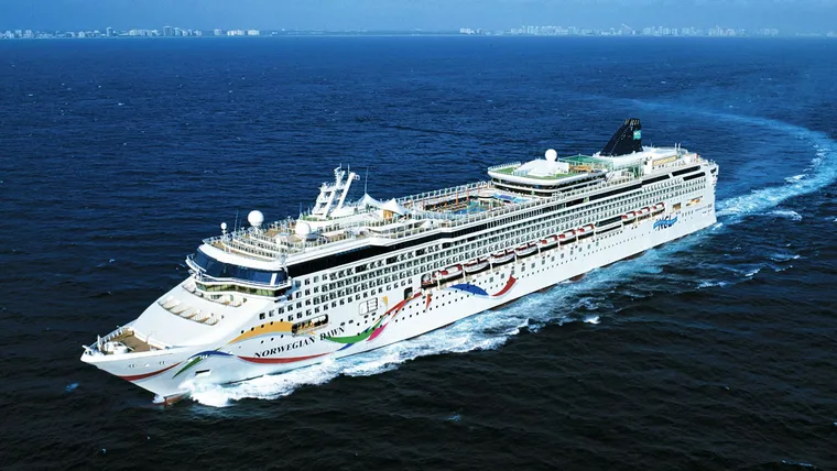 Norwegian Dawn Flunks Inspection: Flies, Mold